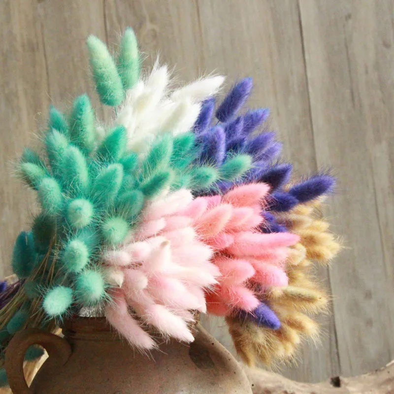 

30Pcs/lot Natural Dried Flowers Bouquet Rabbit Tail Grass Bunch Colorful Lagurus Ovatus Real Flower for Home Wedding Decoration
