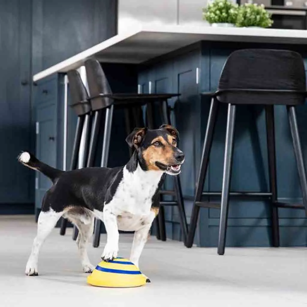 Игрушка для домашних собак звучащий диск Woof Glider мягкая и безопасная игрушка для игр в помещении игрушки для домашних собак развлекательные уникальные игрушки, которые связывают собак