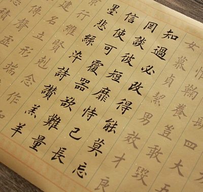 Chinese Traditional Calligraphy Pen Tian Yunzhang's regular script Writing Brushes Copybook for Thousand-Character Classic
