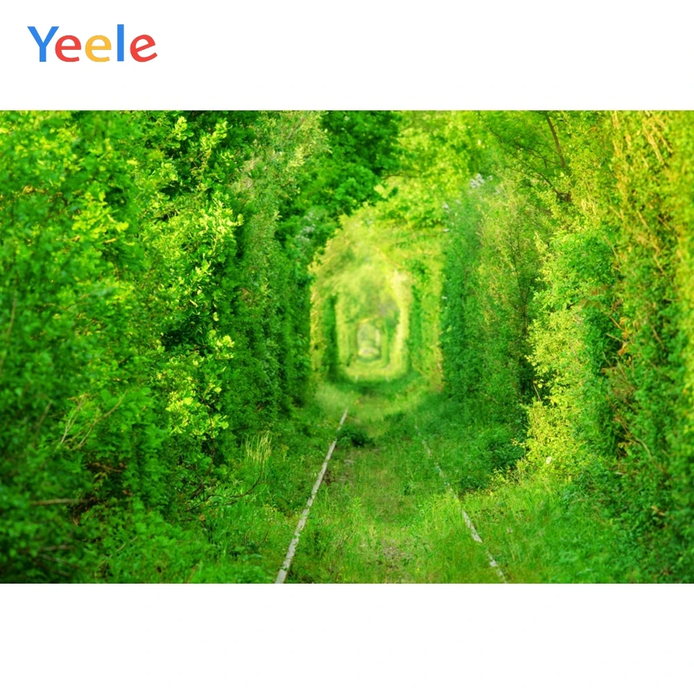 Фон Yeele для фотосъемки с изображением летнего весеннего леса зеленого дерева