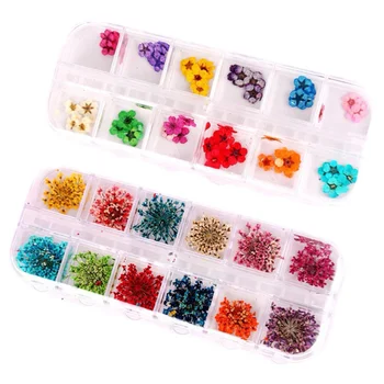 

2 Box of 12 Color Real Dried Flower Case Nail Art Tips Decoration Design Flower Three-dimensional Applique 3D Nail Stickers Nail