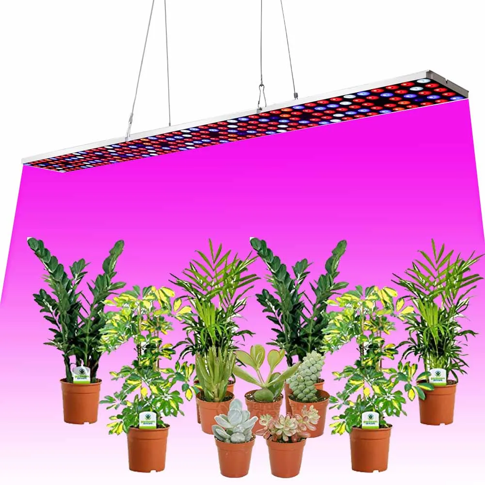 

JCBritw LED Plant Grow Light 225 LEDs Growing Lamps 90W Full Spectrum Dimmable w/ Timer Plant Light for Indoor Plants Hydroponic
