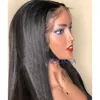 Lace Wigs