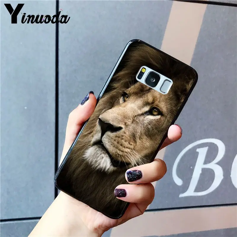 Animal Lion Wolf Owl Elephant Lion Tiger