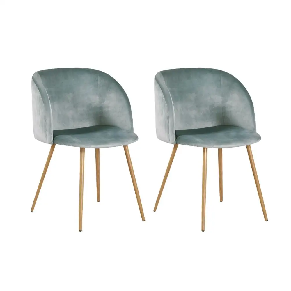 

EGGREE Set of 2pcs Aloe Velvet Leisure Chair for Dining room, Bedroom And Living room - Cactus - 2-8days EU warehouse