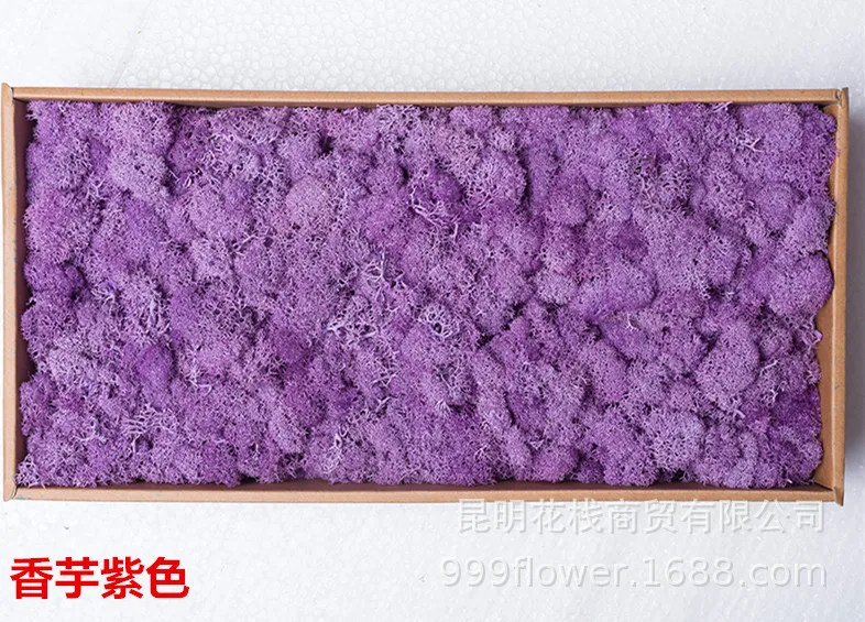 Сфагнум мхи вечный сушеный мох трава Натуральный Свежий мох настоящие настенные украшения DIY декоративные консервированные Цветы Аксессуары - Цвет: Taro Purple