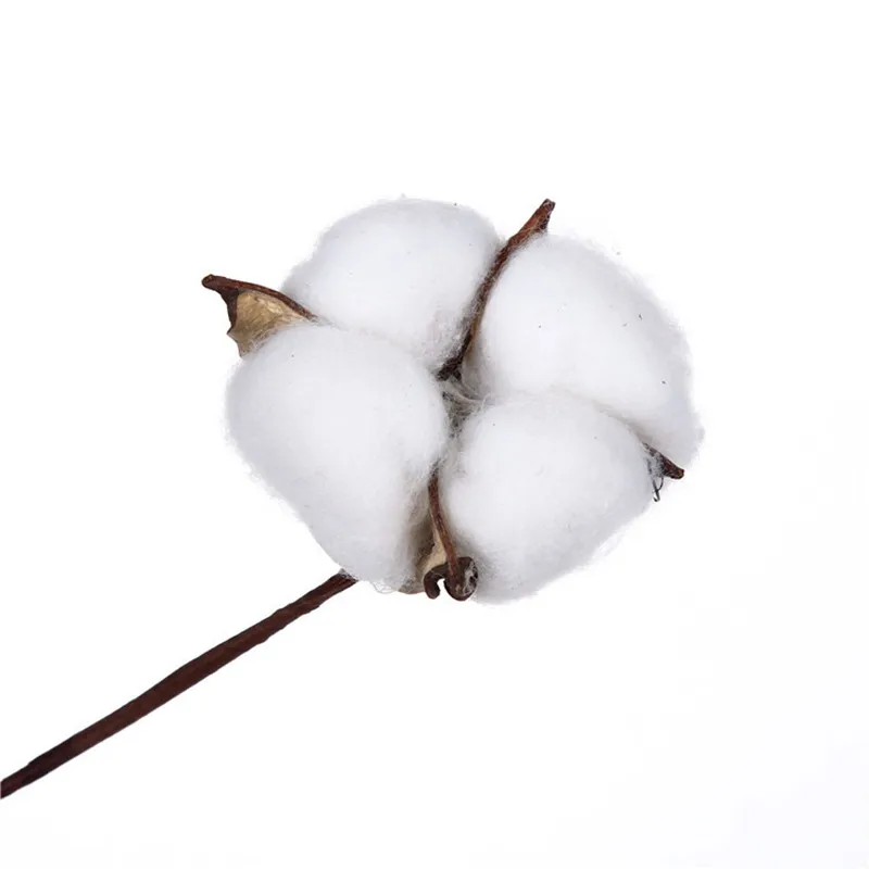 9775979310_1771322019_副本