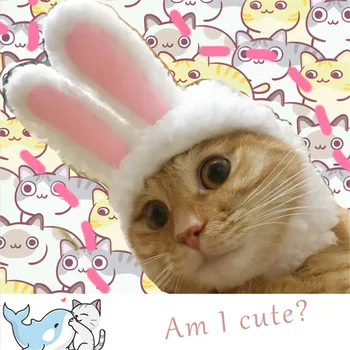 

Funny Easter Cat Costume Easter Pet Cap Bunny Warm Rabbit Hat with Ears for Cats and Small Dogs Pets Costume Accessories