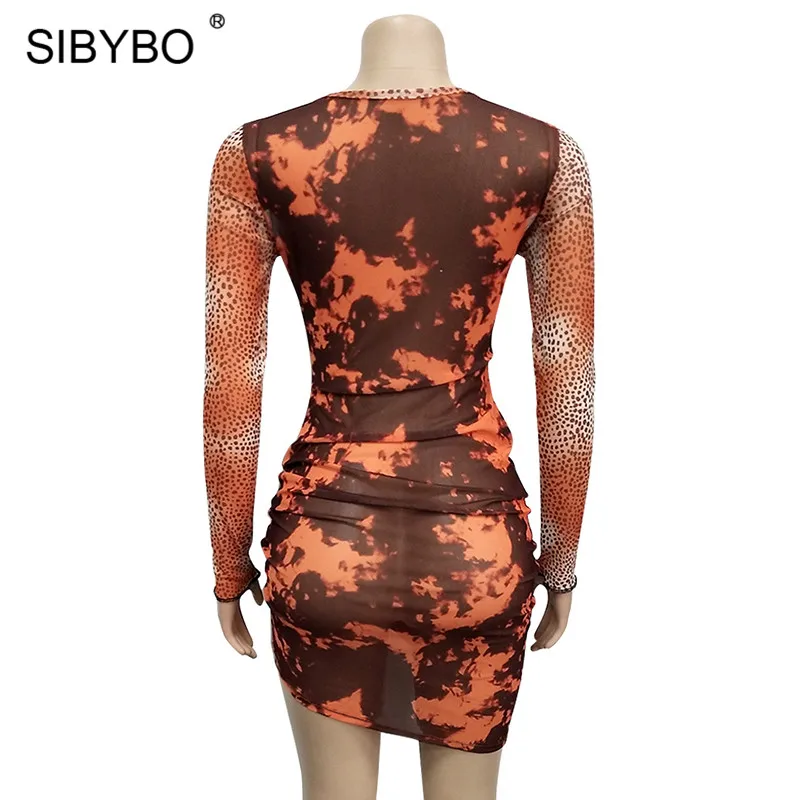 12654827809_892403295