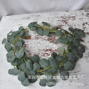 

Model Eucalyptus Rattan Model Money Leaf round Leaf Eucalyptus Leaves Wedding Exhibition Road Lead Decoration Rattan