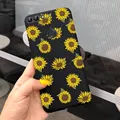 Black 1623
