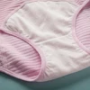 New Cotton Physiological Period Leak Proof Menstrual Panties Breathable Seamless Soft Fabric High Quality Women Underwear Breifs 4