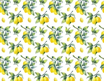 

Newborn photo backgrounds wall paper vinyl fabric children lemons photography backdrops in Photo Studio props Photophone NB-320