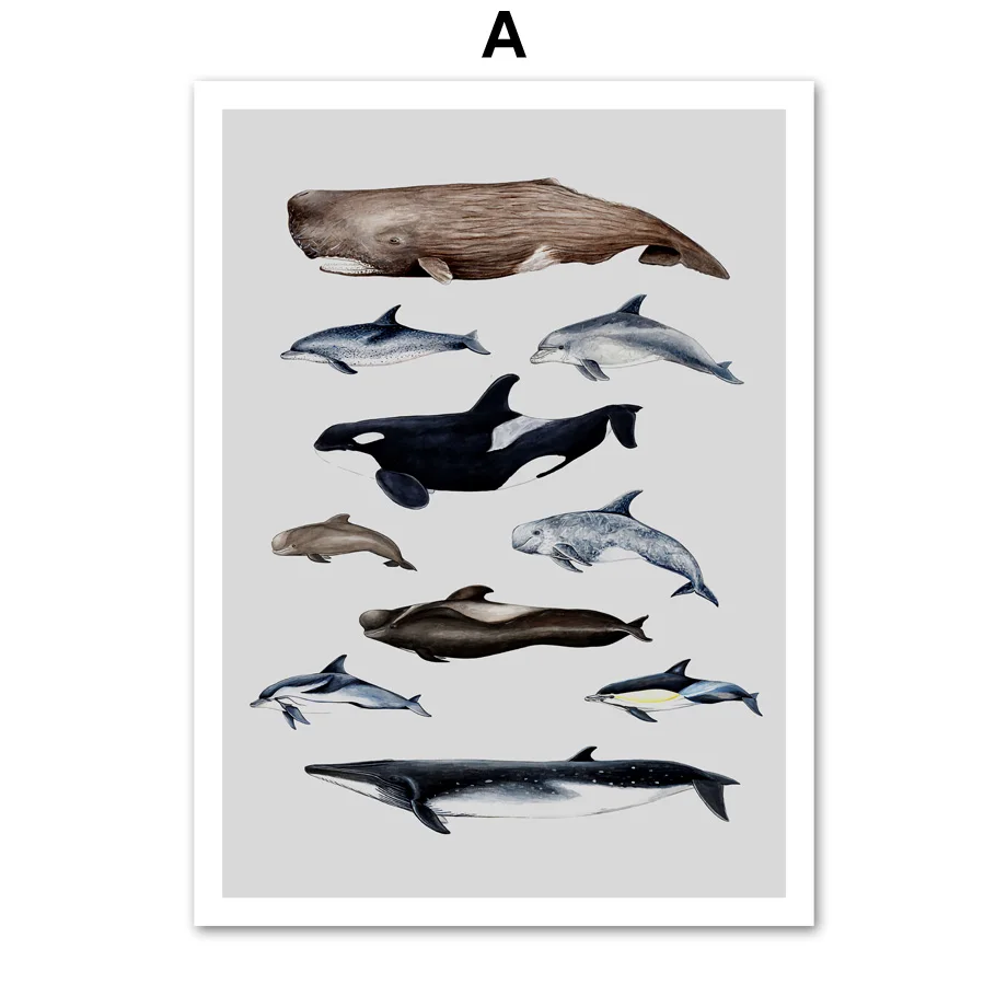 Whale-Dolphin-Marine-Life-Animals-Art-Prints-Wall-Art-Canvas-Painting-Nordic-Posters-And-Prints-Wall (5)