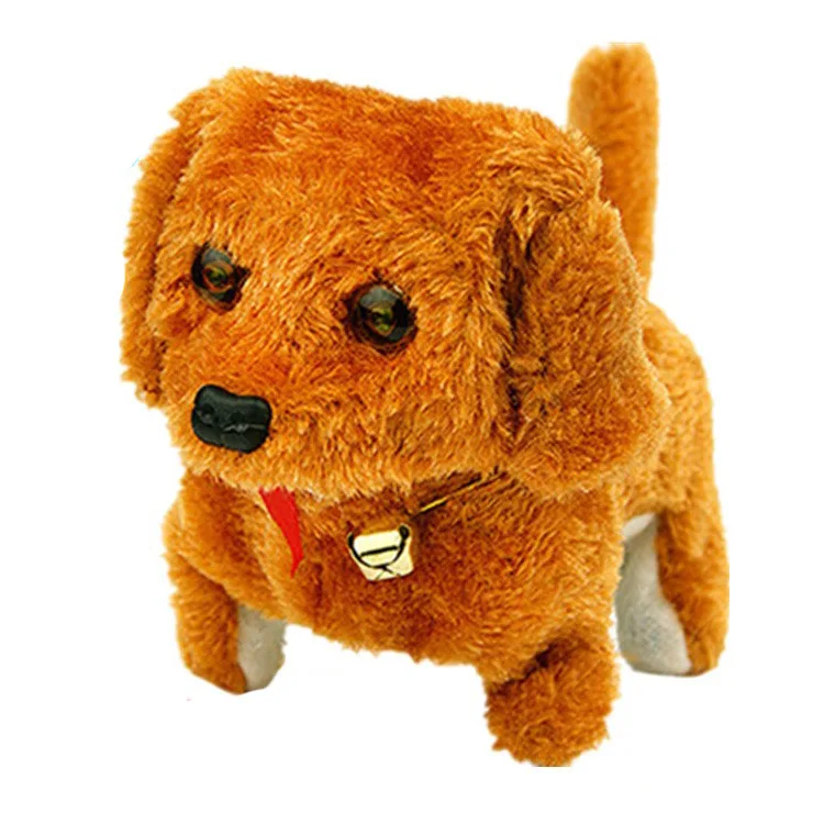 9425621377_1651787607