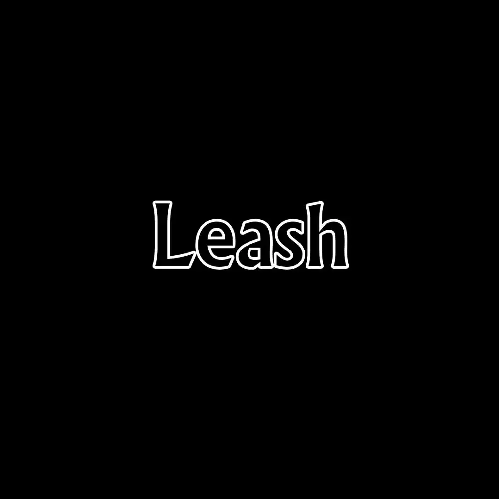Black Leash Модный регулируемый ошейник и поводок для маленьких, средних и больших собак, щенков, уличных домашних собак, ведущих аксессуаров, дропшиппинг ZLL04 - Цвет: Black Leash