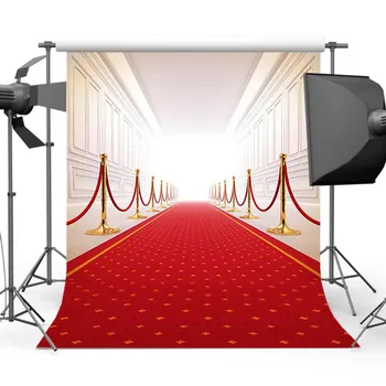 

Mehofoto Red Carpet Backdrop for Pictures Theme Party Background for Photography Studio Computer Printed CM-5973