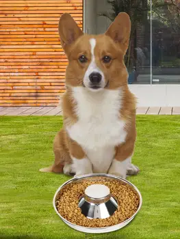 

Pet Slow Feeding Bowl 985ML 1200ML 1635ML Stainless Steel Slow Food Intake Bowl Durable Elevated Feeder For All Dog Breeds Cats