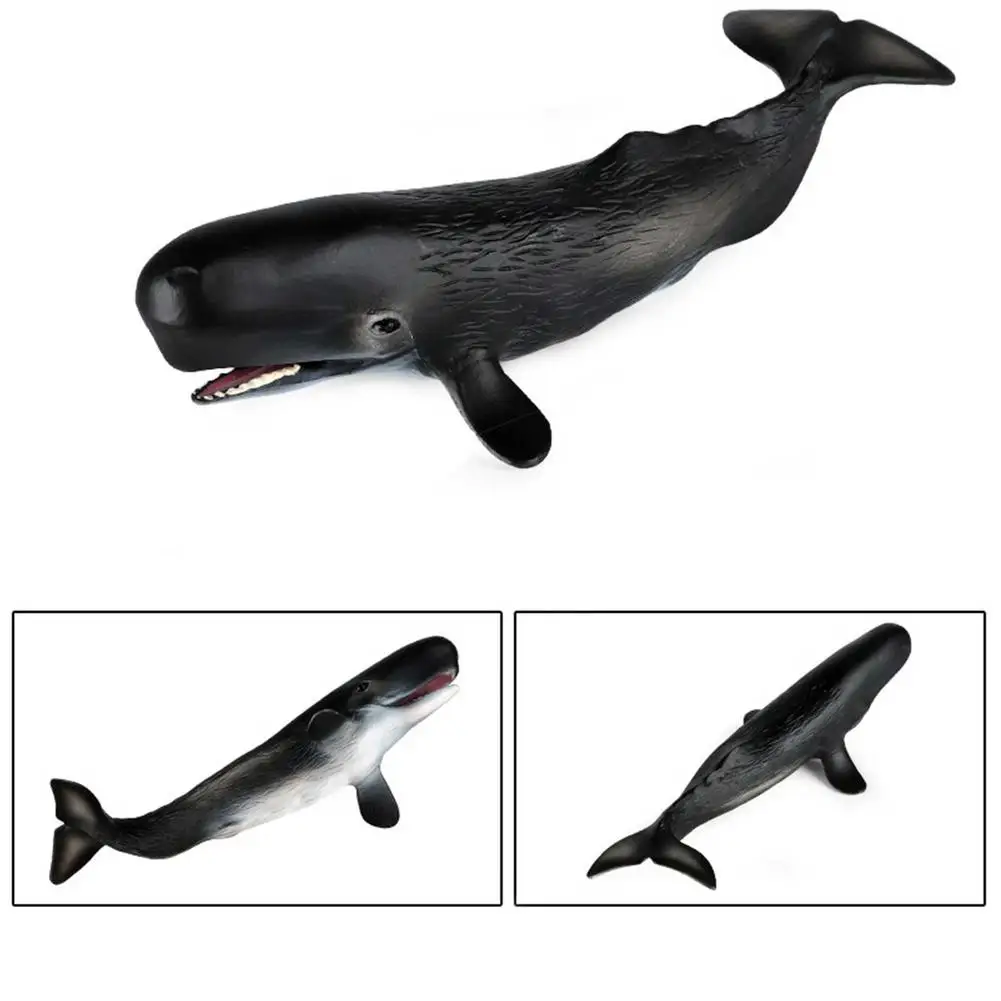 Realistic Sea Animal Figurines Sperm Whale Model Static Plastic Whale Ornament Sea Creatures Educational Toys Gift Action Figures Aliexpress Realistic Sea Animal Figurines Sperm Whale Model Static Plastic Whale Ornament Sea Creatures Educational Toys Gift Action Figures Aliexpress