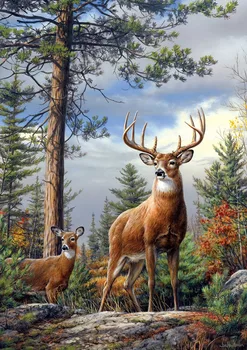 

Needlework,Forest Deer Animal Tree Cross stitch Handmade 14CT Counted Canvas DIY,Cross-stitch kits,Embroidery Art Home Decor