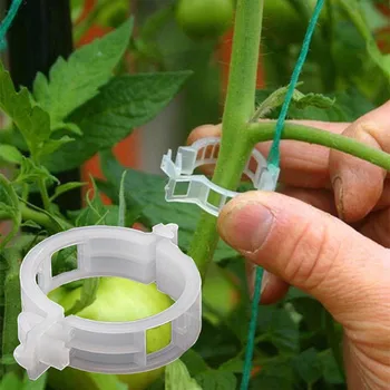 

100PC Trellis Tomato Clips Supports Connects Plants Vines Trellis Twine Cages plastic home Closed ovaln fixing the plant vines