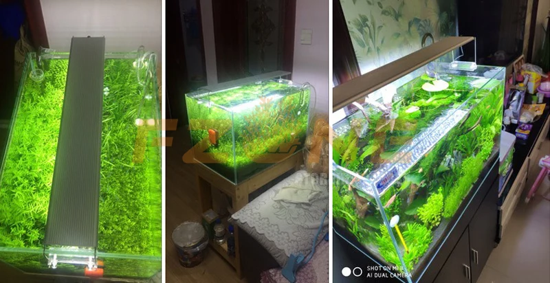 Chihiros A PLUS серия Aquarum светодиодный светильник ing Plant Grow светильник с крышкой или висячим фиксацией с пультом дистанционного управления яркостью
