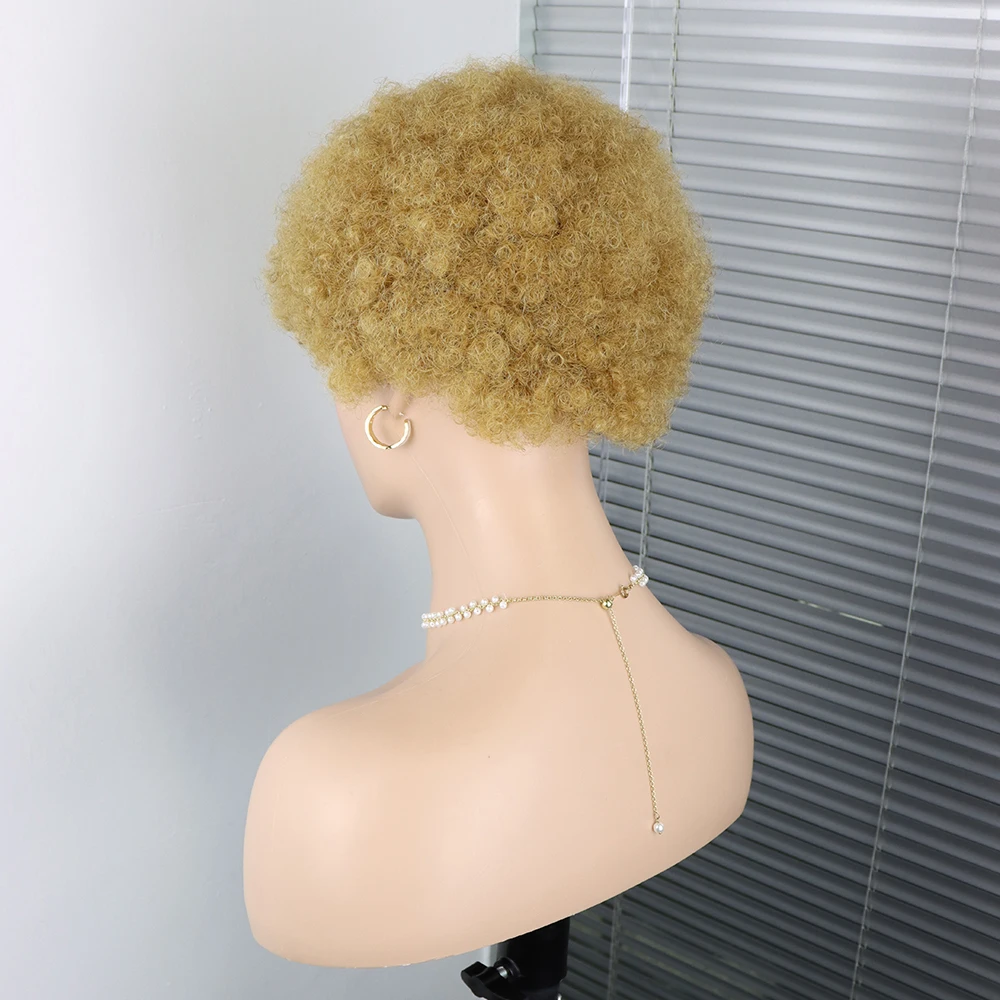 Short Curly Human Hair Wig Afro Kinky Curly African Style For Black Women Dorisy Hair Machine Made Glueless Wig Cheap Hair