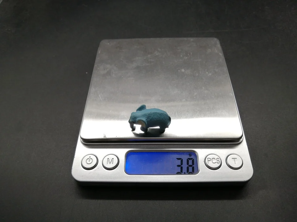 Tiny-A247 (10)