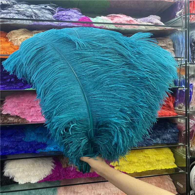 Wholesale 50pcs/lot Quality Blue green Ostrich Feather 60 65cm/24 26inches Celebration Party
