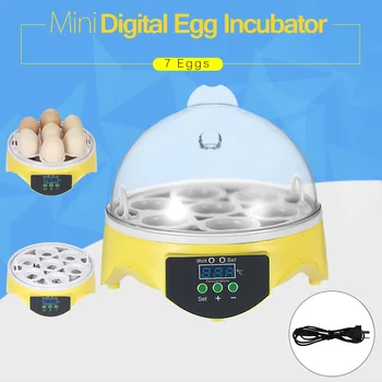 

7 Eggs Incubator Hatcher Transparent Eggs Hatching Machine Automatic Temperature Control for Chicken Duck Bird Eggs
