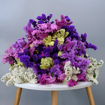 

Hot-selling Forget-me-not Forget Me Not Myosotis sylvatica Dried Preserved Flower Home Wedding Christmas 2021 Newyear Decoration