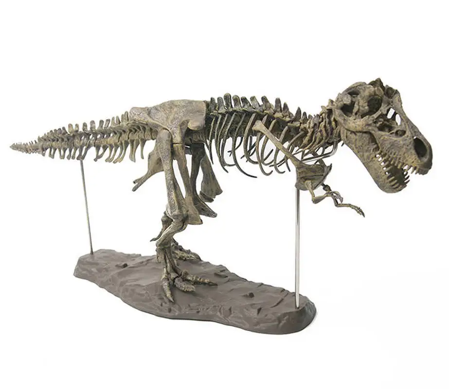 4D Tyrannosaurus Rex Excavation Science Kit Dig Up Dinosaur and Assemble a 4D Skeleton Ancient Animal Fossil Skull 3