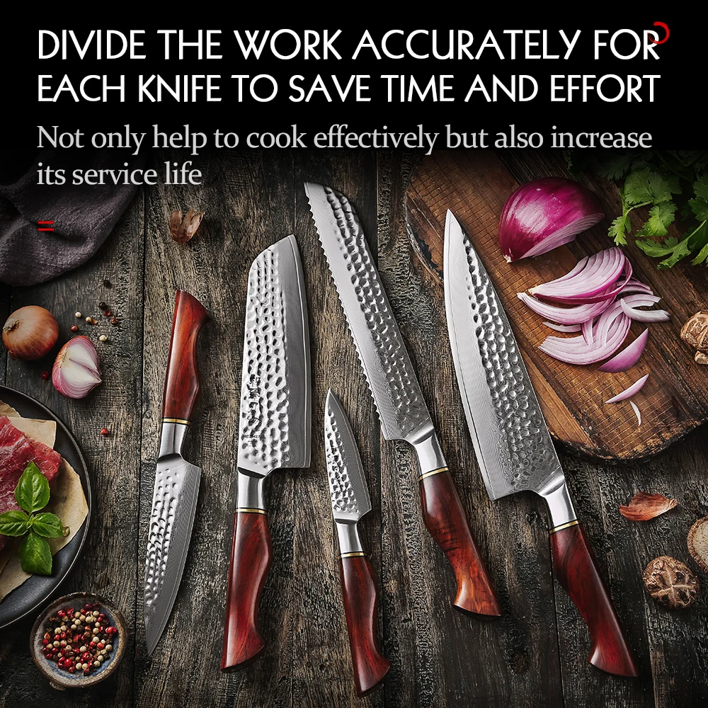 XINZUO 5-Piece Damascus Steel Kitchen Knife Set, Chef Santoku Nakiri Slicing Utility Knife Hammered Forging Damascus Kitchen Knife Professional