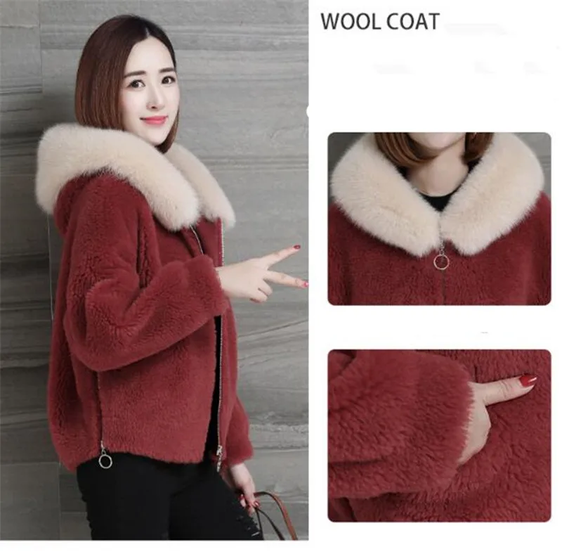 Новое модное осенне-зимнее пальто женское короткое пальто милая и элегантная куртка с капюшоном Женская куртка пальто из искусственного меха