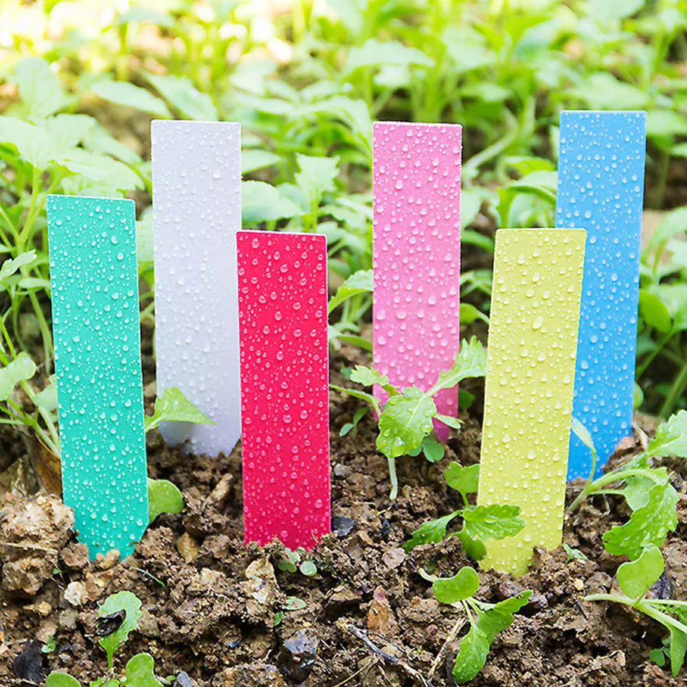 Garden Plant Labels Flower Succulent Bonsai Seedling Mark Card 5 Sizes
