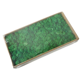 

500G Simulation Green Plant Moss Grass Home Living Room Decorative Wall DIY Flower Decoration with Gift Box
