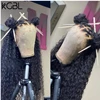 Lace Wigs