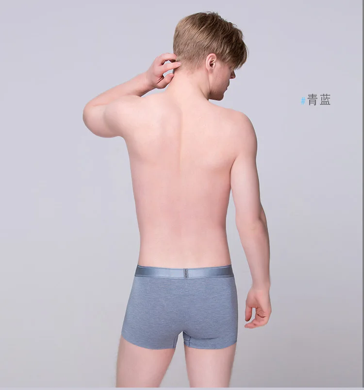 Men's Underwear Traceless MiiOW Boxers New Style Autumn And Winter Breathable Modal Men's Underwear