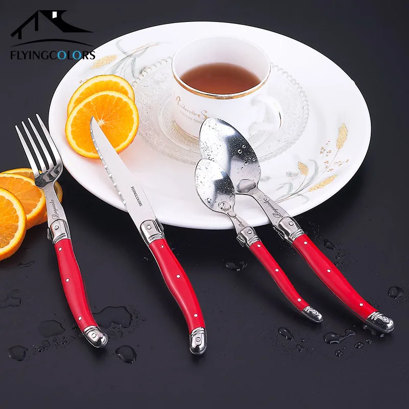24pcs rainbow dinnerware set laguiole  (1)