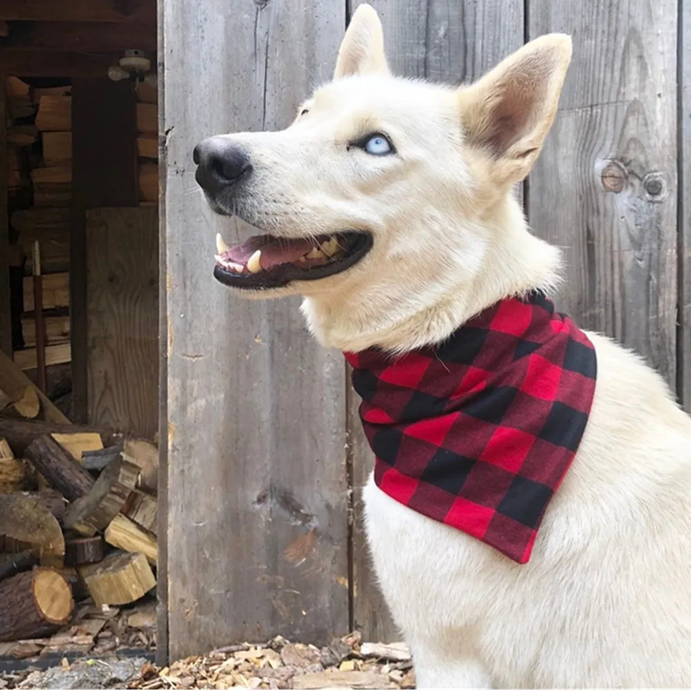 

Personalize Hand Sewn Dog bandana pattern PDF sewing project tutorial for sewing download easy make your own thread and needle