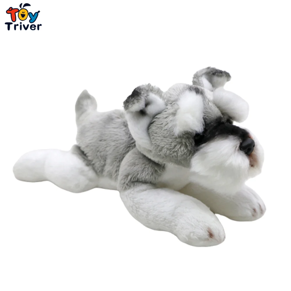 20cm Schnauzer B
