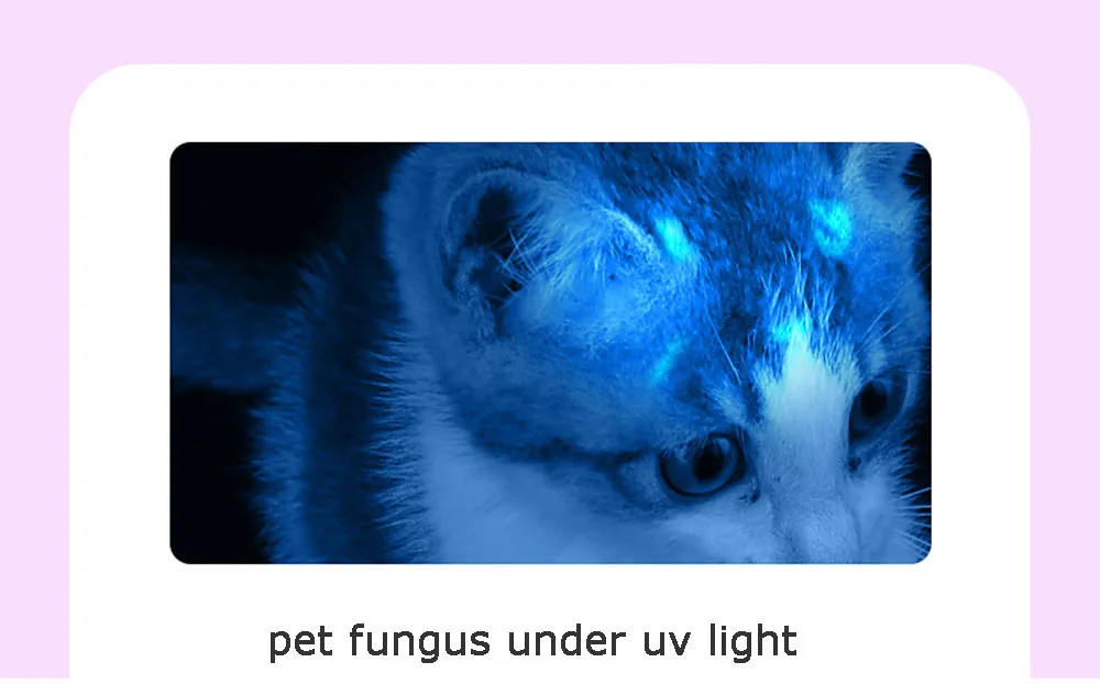 5 Вт 365 нм УФ-светильник USB Перезаряжаемый светодиодный светильник-вспышка для ухода за кожей домашних животных Tinea грибковая инфекция Диагностика черный светильник Светодиодная ручка-фонарик