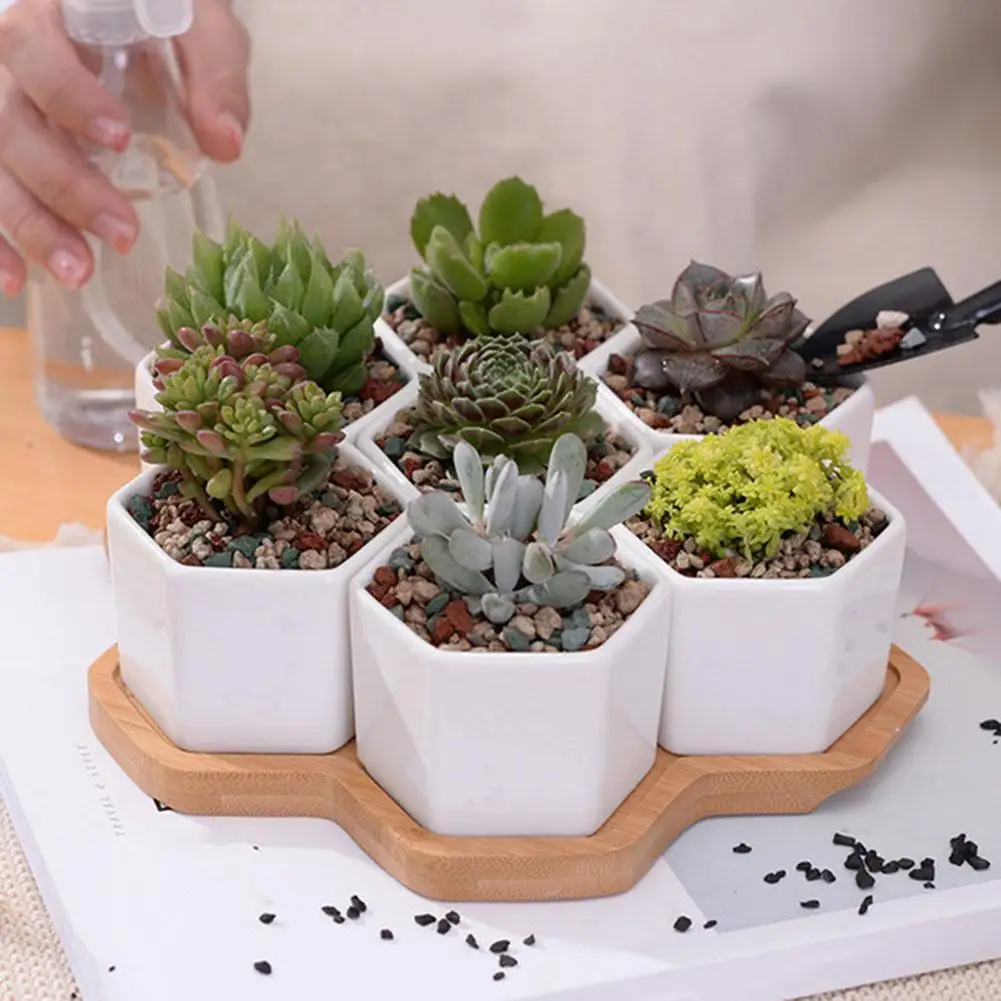 

Hexagonal Ceramic Succulent Plant Flower Pot Garden Planter Bamboo Tray Holder
