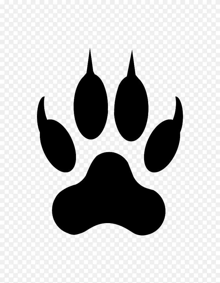 灰狼爪猫虎夹艺术