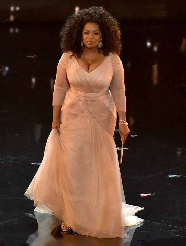 

Unique Design Long Mother of the Bride Dress V-neck Three Quarter Sleeve Evening Gown Plus Size
