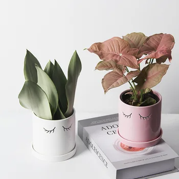 

Eye Ceramic Flowerpot Eyelashes Lovely Upscale Nordic Interior Balcony Decorations Plant Pot