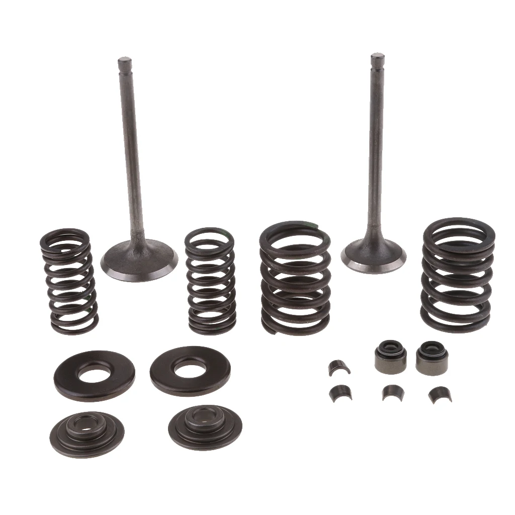 Engine Intake Exhaust Valves Assy GY6 250cc ATV Go Kart Scooter Quad Bike