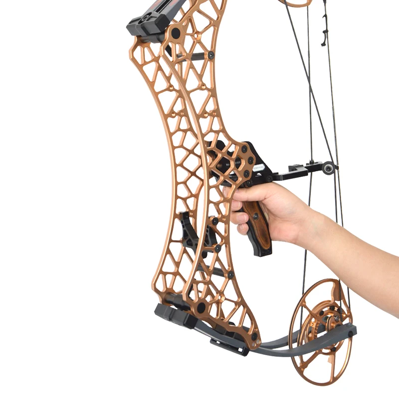 Powerful Archery Compound Bow Draw Weight 40-70lbs Adjustable Suit for Hunting Bow Shooting fish Practice Arrows Accessories
