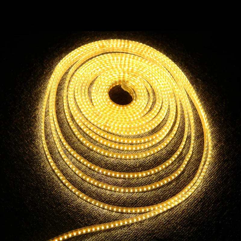 XIN20