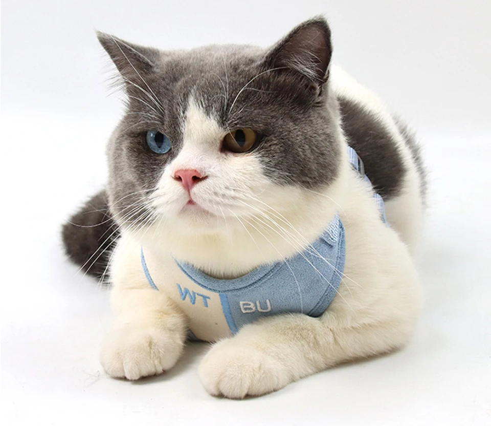 H6cd3d53b70784494ad64f178ebae8ab25